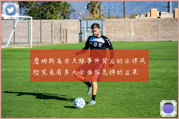 詹姆斯高尔夫球事件背后的法律风险究竟有多大会面临怎样的后果