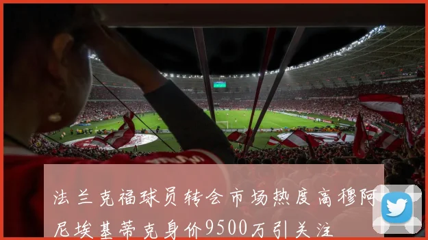 法兰克福球员转会市场热度高穆阿尼埃基蒂克身价9500万引关注
