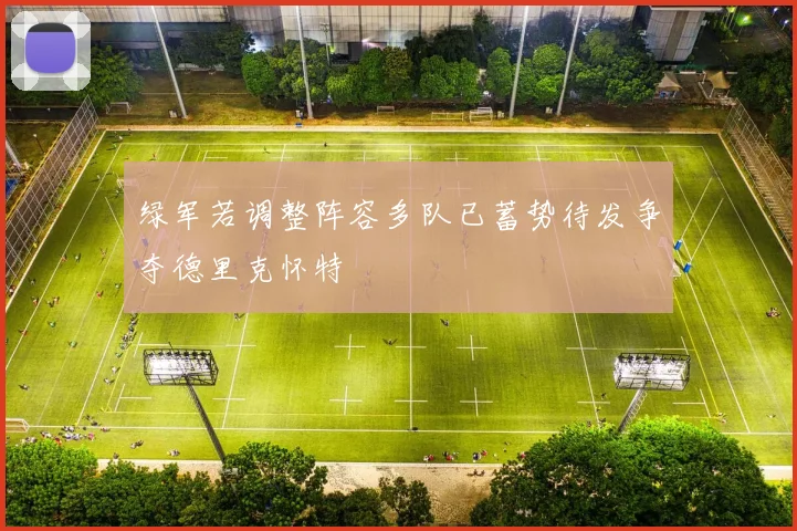 绿军若调整阵容多队已蓄势待发争夺德里克怀特